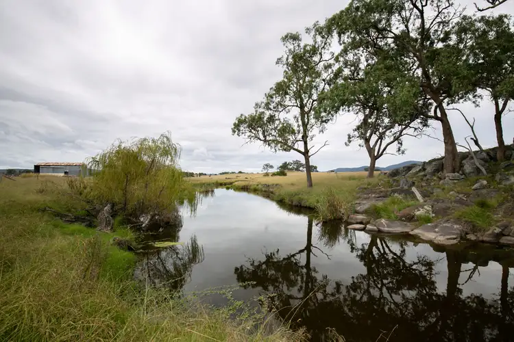Third view of Homely rural property listing, 1158 Bruxner Highway, Tenterfield NSW 2372