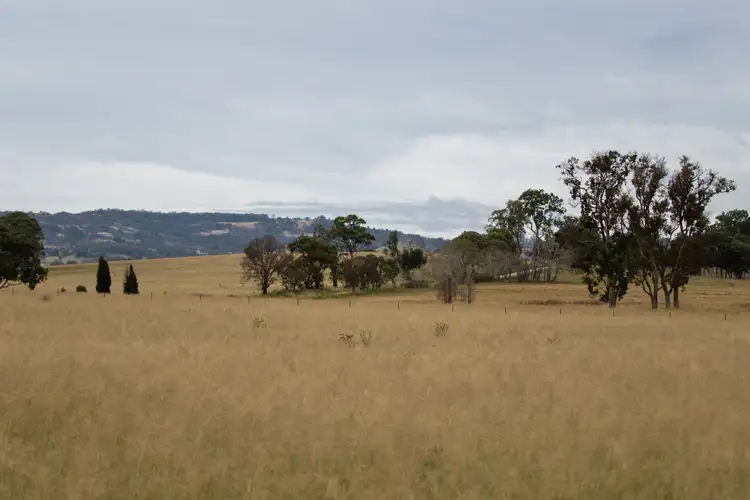 Fifth view of Homely rural property listing, 1158 Bruxner Highway, Tenterfield NSW 2372