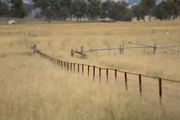 Seventh view of Homely rural property listing, 1158 Bruxner Highway, Tenterfield NSW 2372