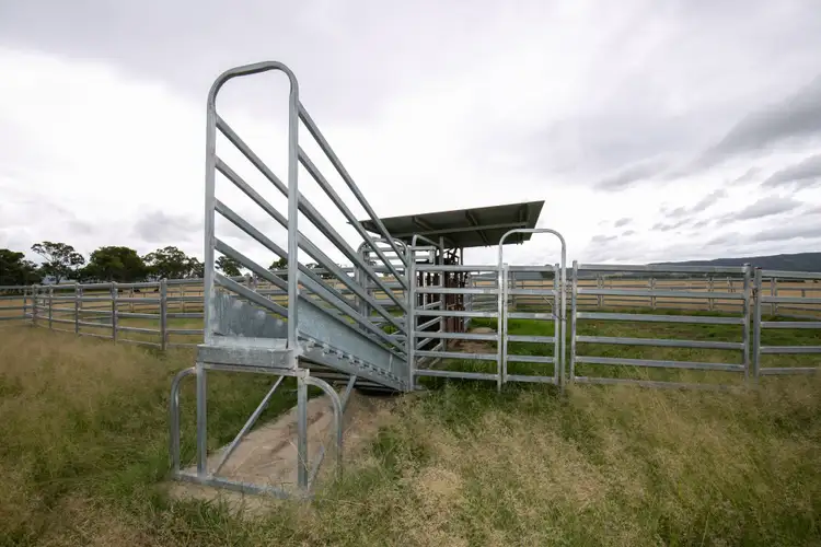 Third view of Homely rural property listing, 68 Ross Road, Tenterfield NSW 2372