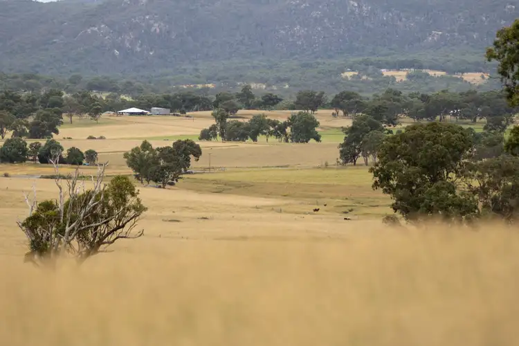 Seventh view of Homely rural property listing, 68 Ross Road, Tenterfield NSW 2372