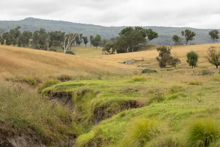 Third view of Homely rural property listing, 11032 Bruxner Highway, Tenterfield NSW 2372