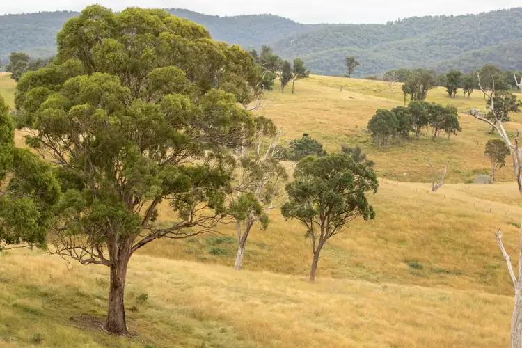 Sixth view of Homely rural property listing, 11032 Bruxner Highway, Tenterfield NSW 2372