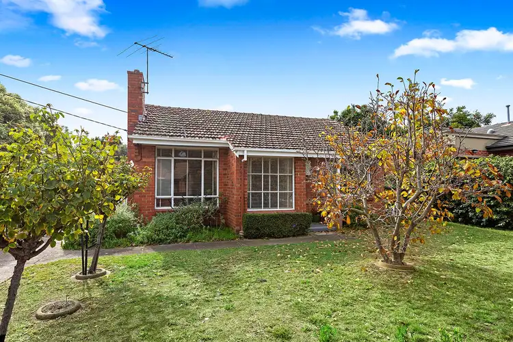 Second view of Homely house listing, 49 Apex Avenue, Hampton East VIC 3188
