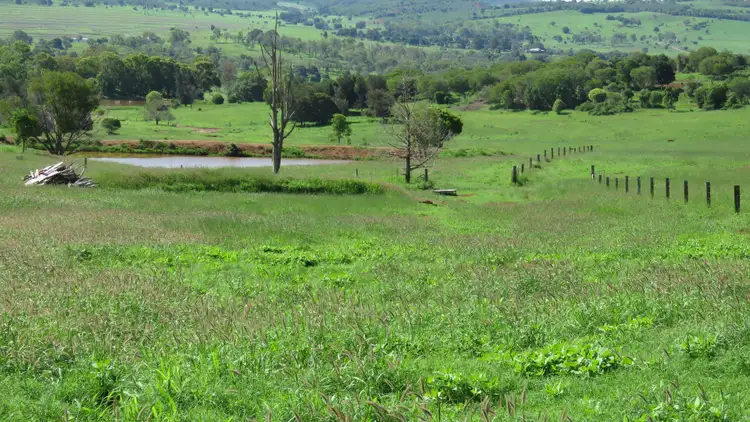 Fifth view of Homely rural property listing, 159 Kinleymore School Road, Kinleymore QLD 4613