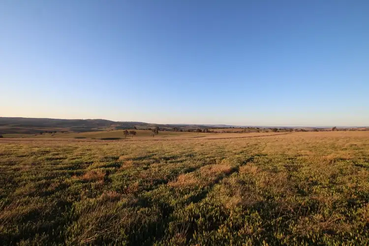 Main view of Homely rural property listing, 374 Wimbledon Road, Bathurst NSW 2795