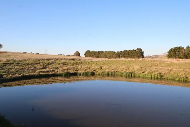 Second view of Homely rural property listing, 374 Wimbledon Road, Bathurst NSW 2795