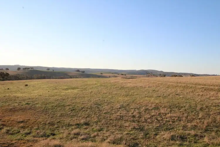 Fourth view of Homely rural property listing, 374 Wimbledon Road, Bathurst NSW 2795