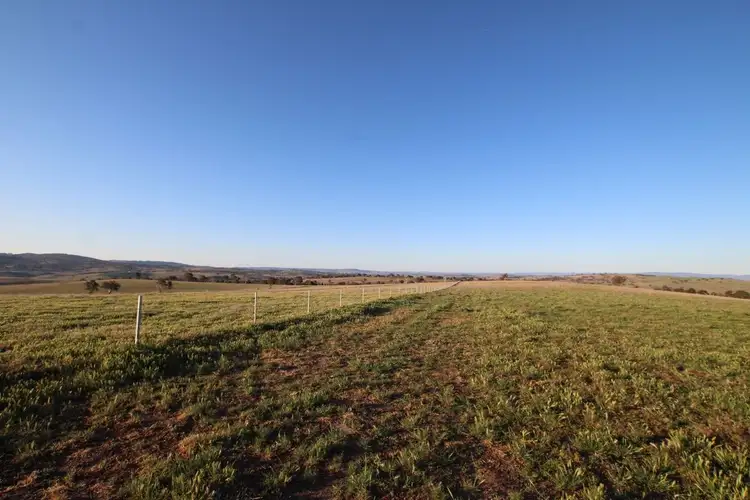Fifth view of Homely rural property listing, 374 Wimbledon Road, Bathurst NSW 2795
