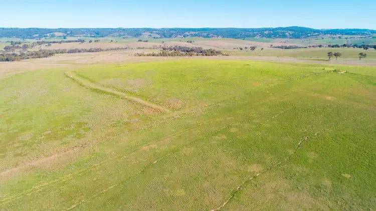 Seventh view of Homely rural property listing, 374 Wimbledon Road, Bathurst NSW 2795