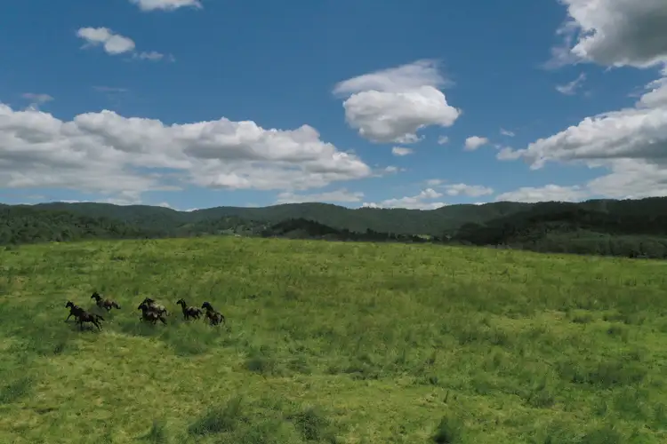 Seventh view of Homely rural property listing, Lot 11 Aherns Road, Conondale QLD 4552