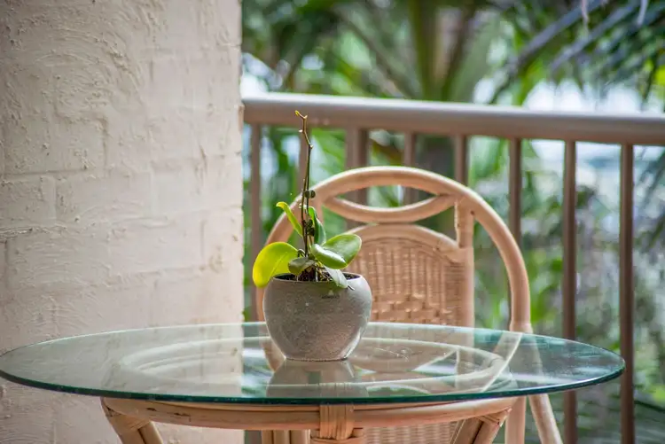 Fifth view of Homely unit listing, 5/7-9 Teemangum Street, Tugun QLD 4224