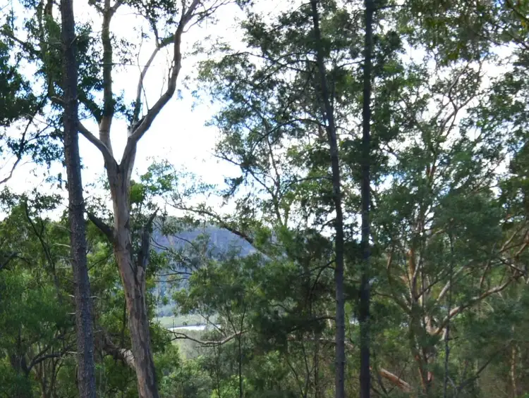 Second view of Homely rural property listing, 4814 Wisemans Ferry Road, Spencer NSW 2775