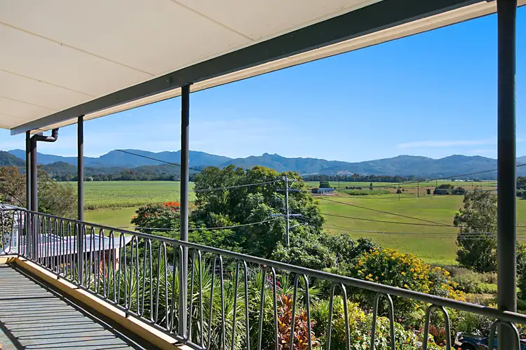 Main view of Homely house listing, 14 Mayal Street, Murwillumbah NSW 2484