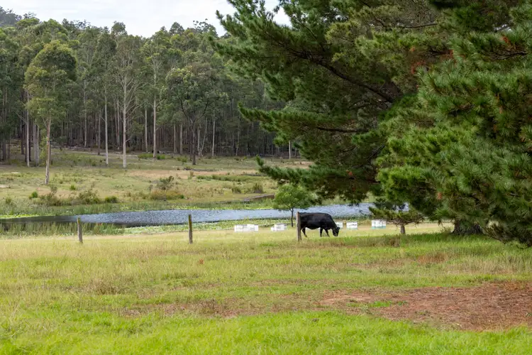 Sixth view of Homely house listing, 415 Meadows Road, Moruya NSW 2537