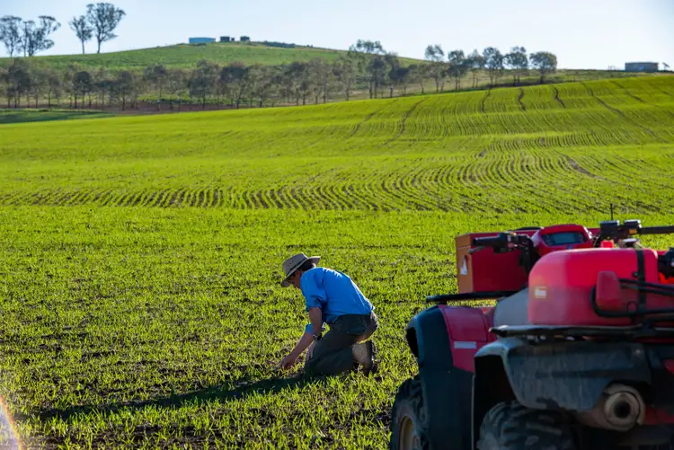 Third view of Homely rural property listing, 1449 Frogmore Road, Boorowa NSW 2586
