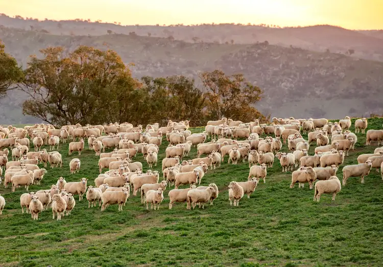 Fourth view of Homely rural property listing, 1449 Frogmore Road, Boorowa NSW 2586