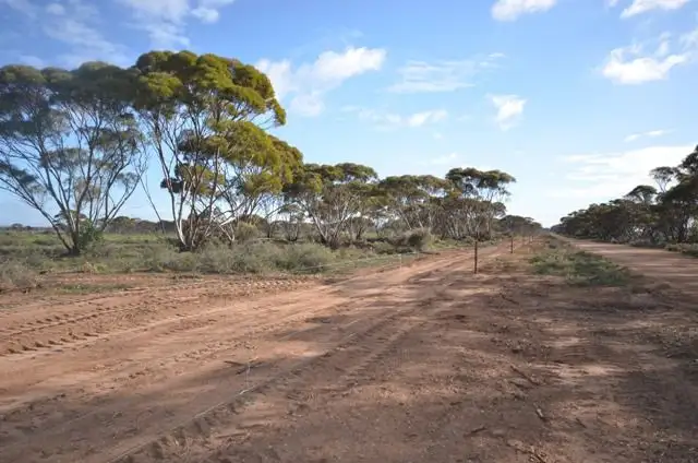 Ma's and "Lagoon" - Main Road, Robertstown SA 5381