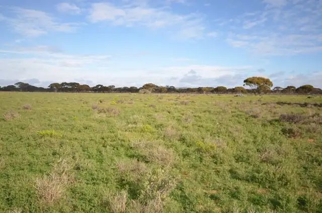 Second view of Homely rural property listing, Ma's and "Lagoon" - Main Road, Robertstown SA 5381
