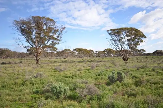 Third view of Homely rural property listing, Ma's and "Lagoon" - Main Road, Robertstown SA 5381