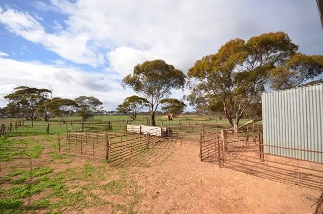 Seventh view of Homely rural property listing, Ma's and "Lagoon" - Main Road, Robertstown SA 5381