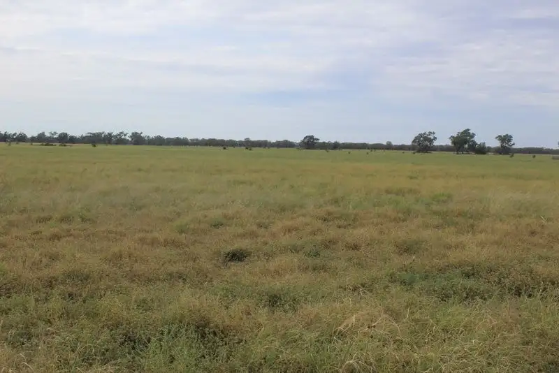 Main view of Homely rural property listing, " Amaroo Drive Blocks", Moree NSW 2400