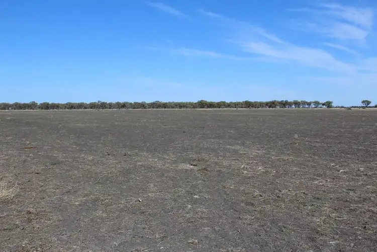 Second view of Homely rural property listing, " Amaroo Drive Blocks", Moree NSW 2400