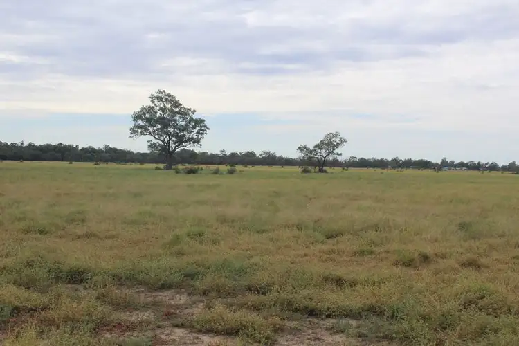 Fifth view of Homely rural property listing, " Amaroo Drive Blocks", Moree NSW 2400