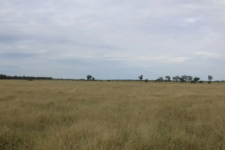 Sixth view of Homely rural property listing, " Amaroo Drive Blocks", Moree NSW 2400