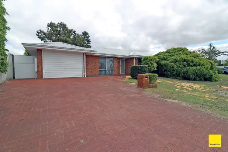 Main view of Homely house listing, 14 Elettra Close, Morley WA 6062