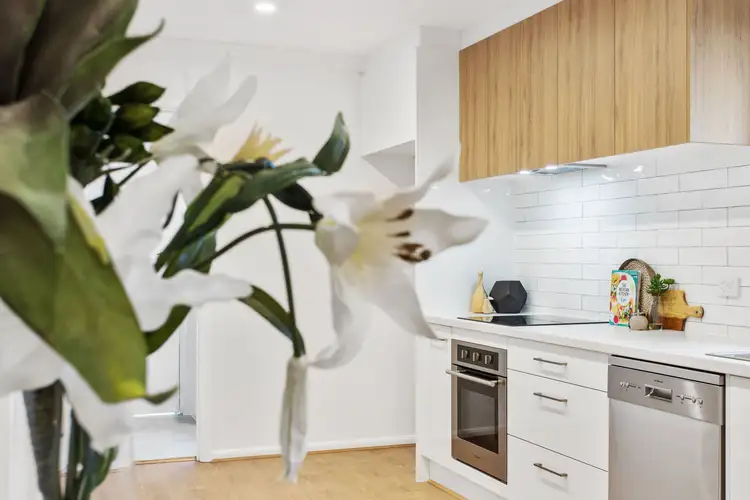 Third view of Homely unit listing, 5/16 Peroomba Avenue, Kensington Gardens SA 5068