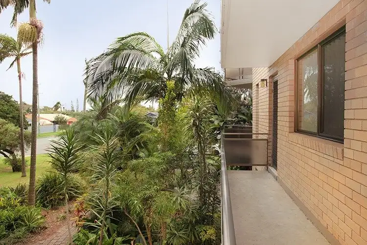 Third view of Homely unit listing, 3/4 Minya Street, Buddina QLD 4575