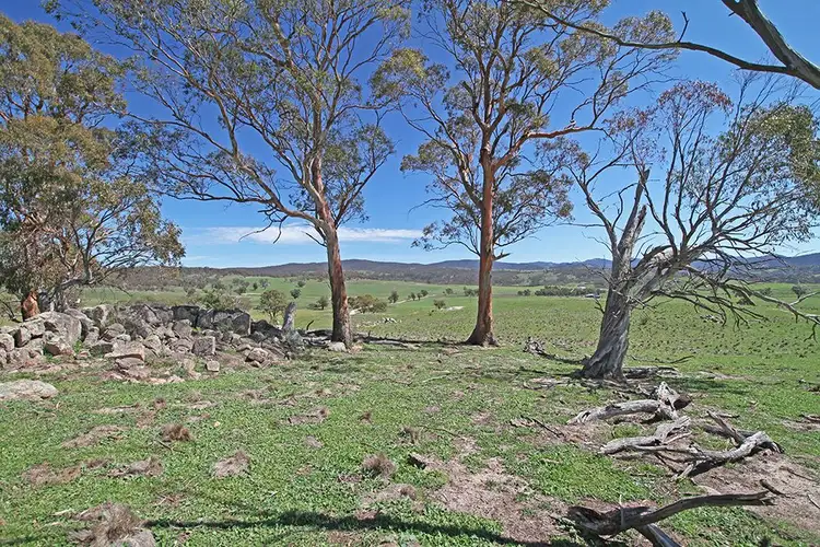 Main view of Homely land listing, Lot 6 Tinderry Road, Anembo NSW 2621