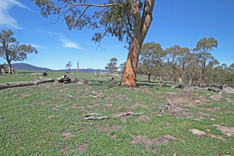 Fifth view of Homely land listing, Lot 6 Tinderry Road, Anembo NSW 2621