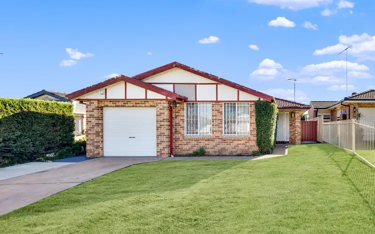 8 Blackwood Avenue, Minto NSW 2566