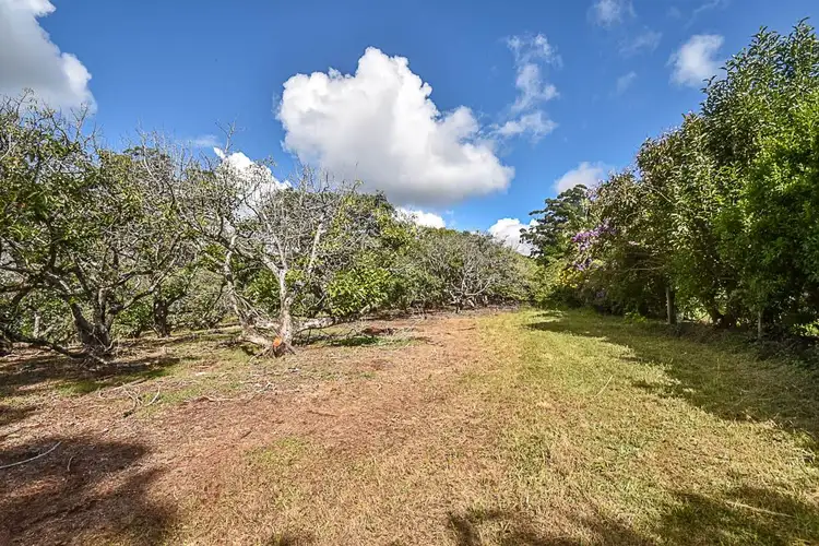 Second view of Homely land listing, 153-161 Alpine Terrace, Tamborine Mountain QLD 4272