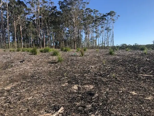 Third view of Homely land listing, 30 Iluka Crescent, Narrawallee NSW 2539