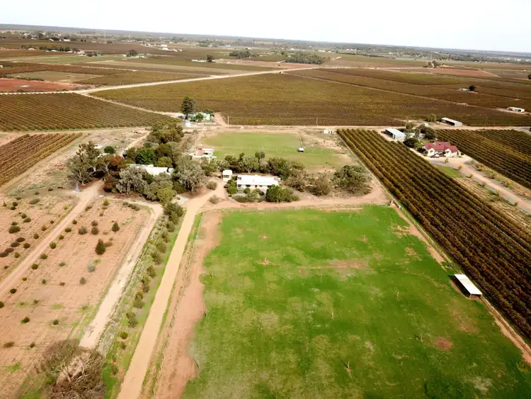 Second view of Homely house listing, 267 Gaskell Road, Barmera SA 5345