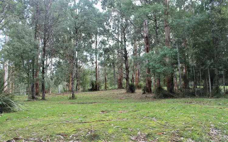 Second view of Homely land listing, 8/2260 Mt Baw Baw Tourist Road, Icy Creek VIC 3833