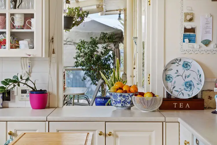 13 Brigalow Avenue, Modbury SA 5092