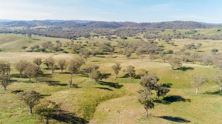 Main view of Homely rural property listing, 'Warrenella' Yarramanbully Road, Tamworth NSW 2340
