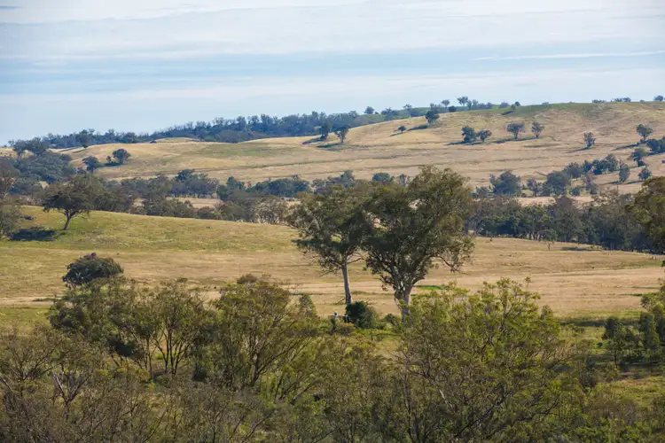 Third view of Homely rural property listing, 'Warrenella' Yarramanbully Road, Tamworth NSW 2340