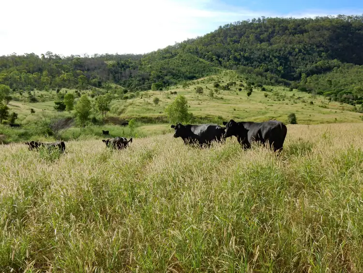 Fifth view of Homely rural property listing, Address available on request