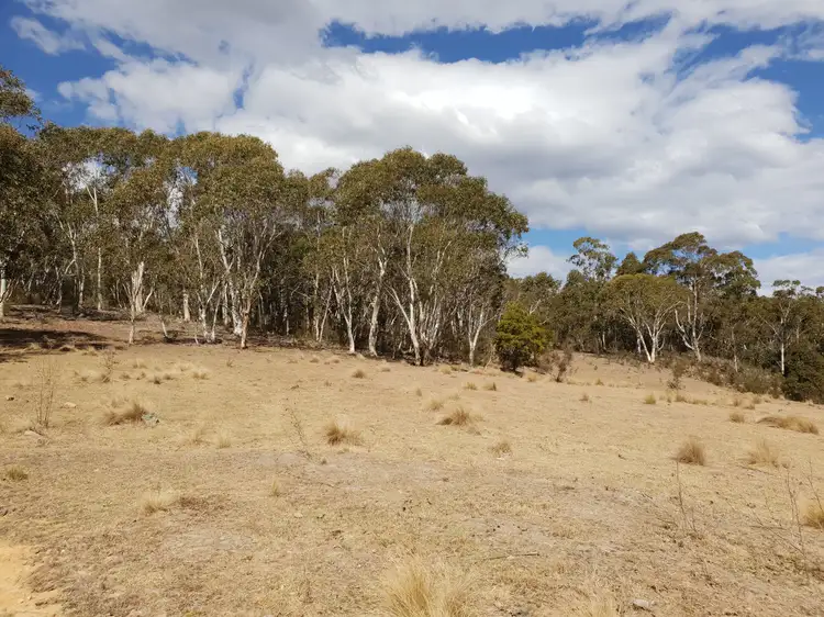Third view of Homely rural property listing, 735 Hereford Hall Road, Braidwood NSW 2622