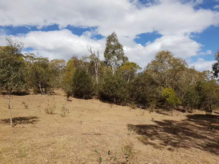 Fourth view of Homely rural property listing, 735 Hereford Hall Road, Braidwood NSW 2622