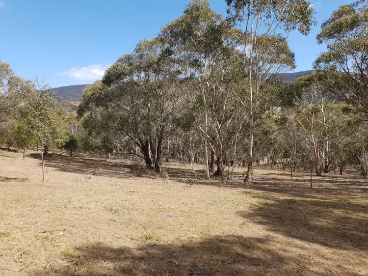 Fifth view of Homely rural property listing, 735 Hereford Hall Road, Braidwood NSW 2622