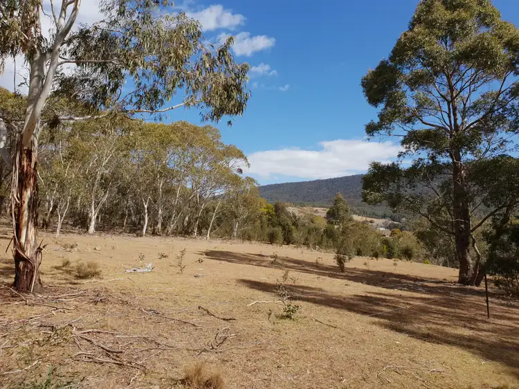 Seventh view of Homely rural property listing, 735 Hereford Hall Road, Braidwood NSW 2622
