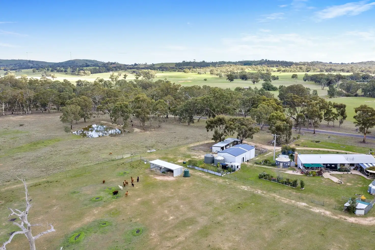 Main view of Homely rural property listing, 191 Landsborough-Elmhurst Road, Landsborough VIC 3384