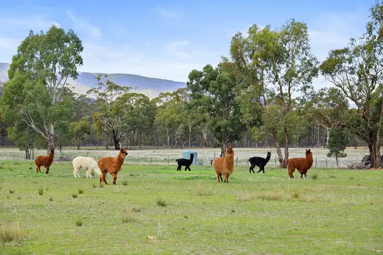 Fifth view of Homely rural property listing, 191 Landsborough-Elmhurst Road, Landsborough VIC 3384