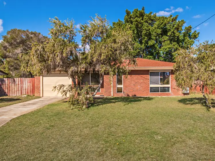 Main view of Homely house listing, 20 Willmott Drive, Cooloongup WA 6168